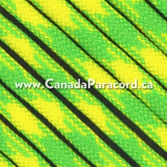Dayglow - 50 Foot - 550 LB Paracord