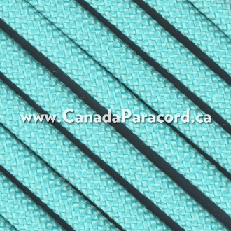 Turquoise - 50 Feet - 550 LB Paracord