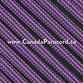 Neon Purple and Silver Stripes - 25 Ft - 550 LB Paracord