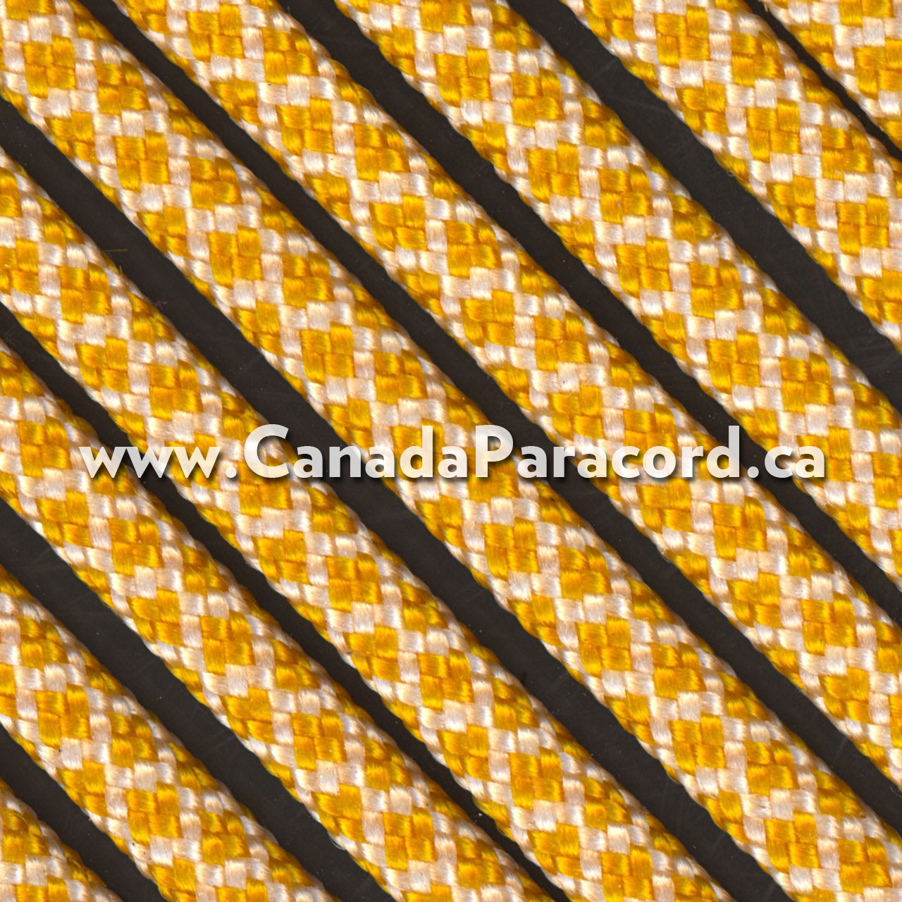 Honeycomb - 1,000 Ft - 550 LB Nylon Paracord