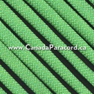 Picture of Mint - 1,000 Feet - 550 LB Paracord