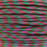 Picture of Argon | 550lb Paracord | 100 Feet